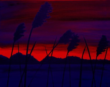 Rushes in the dark 4  auf Acryl-Glas