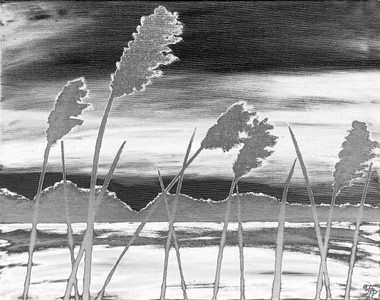 Rushes in the dark 5  auf Acryl-Glas