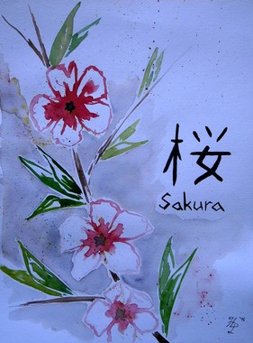 Sakura