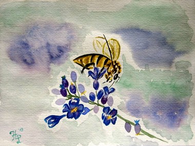 lavande avec l'abeille